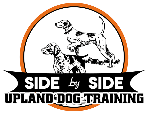 Side by Side Upland Dog Training
